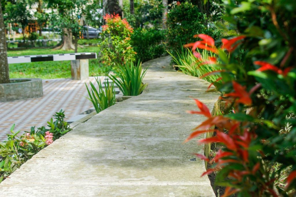 concrete paths Bellevue WA